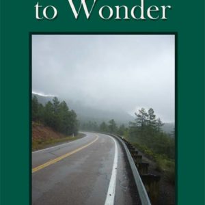 Yielding to Wonder by Patricia Hofer