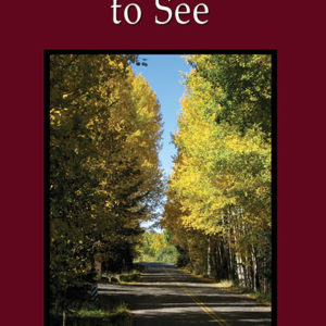 Turning Aside to See by Patricia Hofer