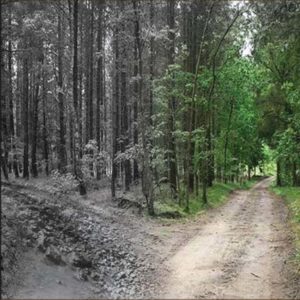 Detour: Avoiding Temptations that Lead to Addiction by Marilyn Lancelot