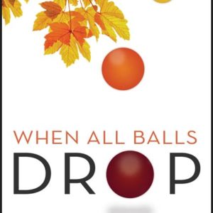 When All Balls Drop: The Upside of Losing Everything by Heidi Siefkas