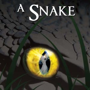 If It Were a Snake by Kimberly Boone