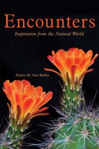 Encounters: Inspiration from the Natural World by Nan Rubin