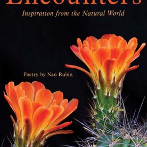 Encounters: Inspiration from the Natural World by Nan Rubin