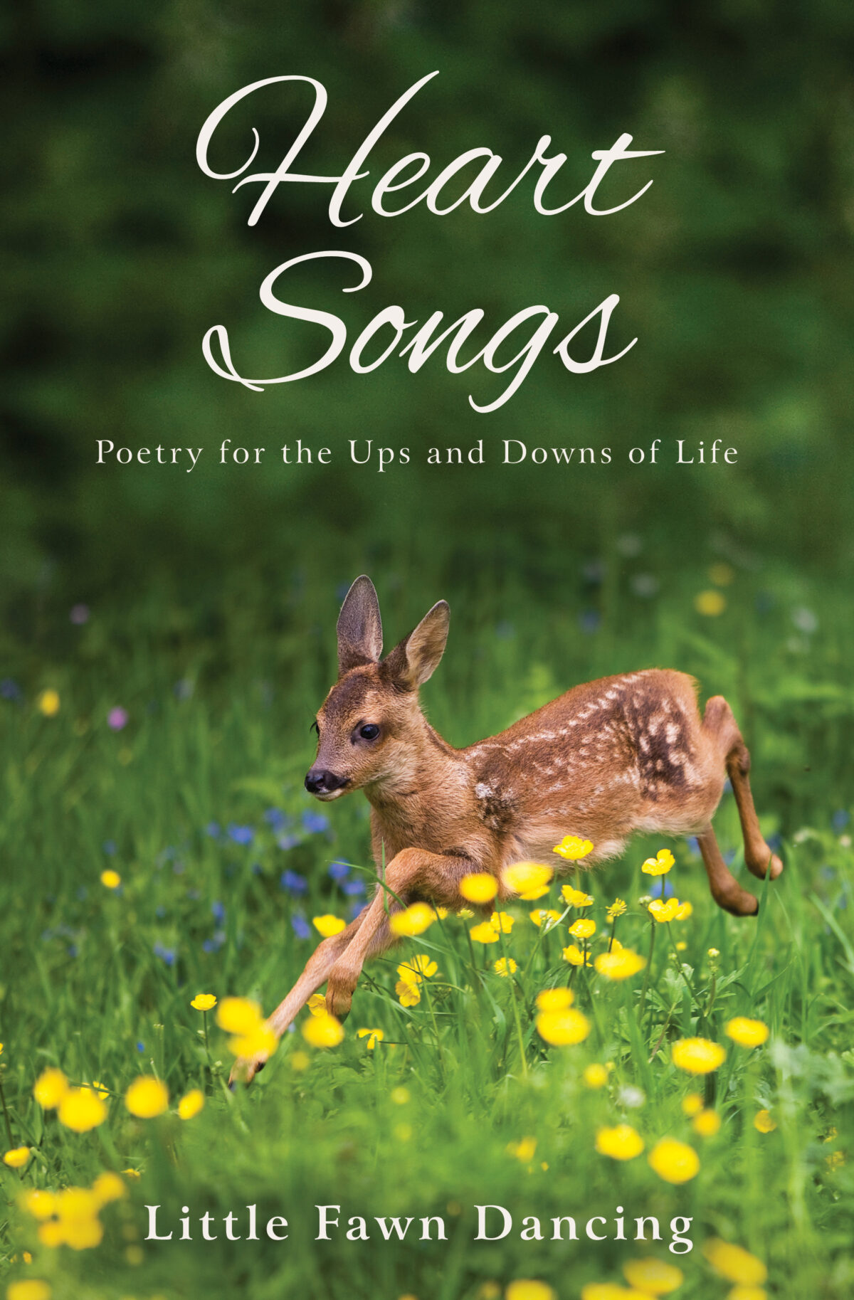 Heart Songs: Poetry for the Ups and Downs of Life - Wheatmark